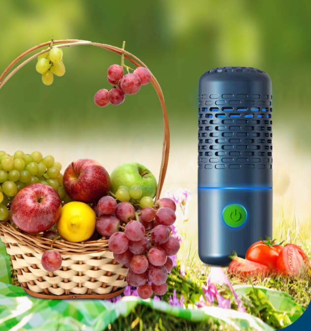 Portable Household Food Purifier Machine